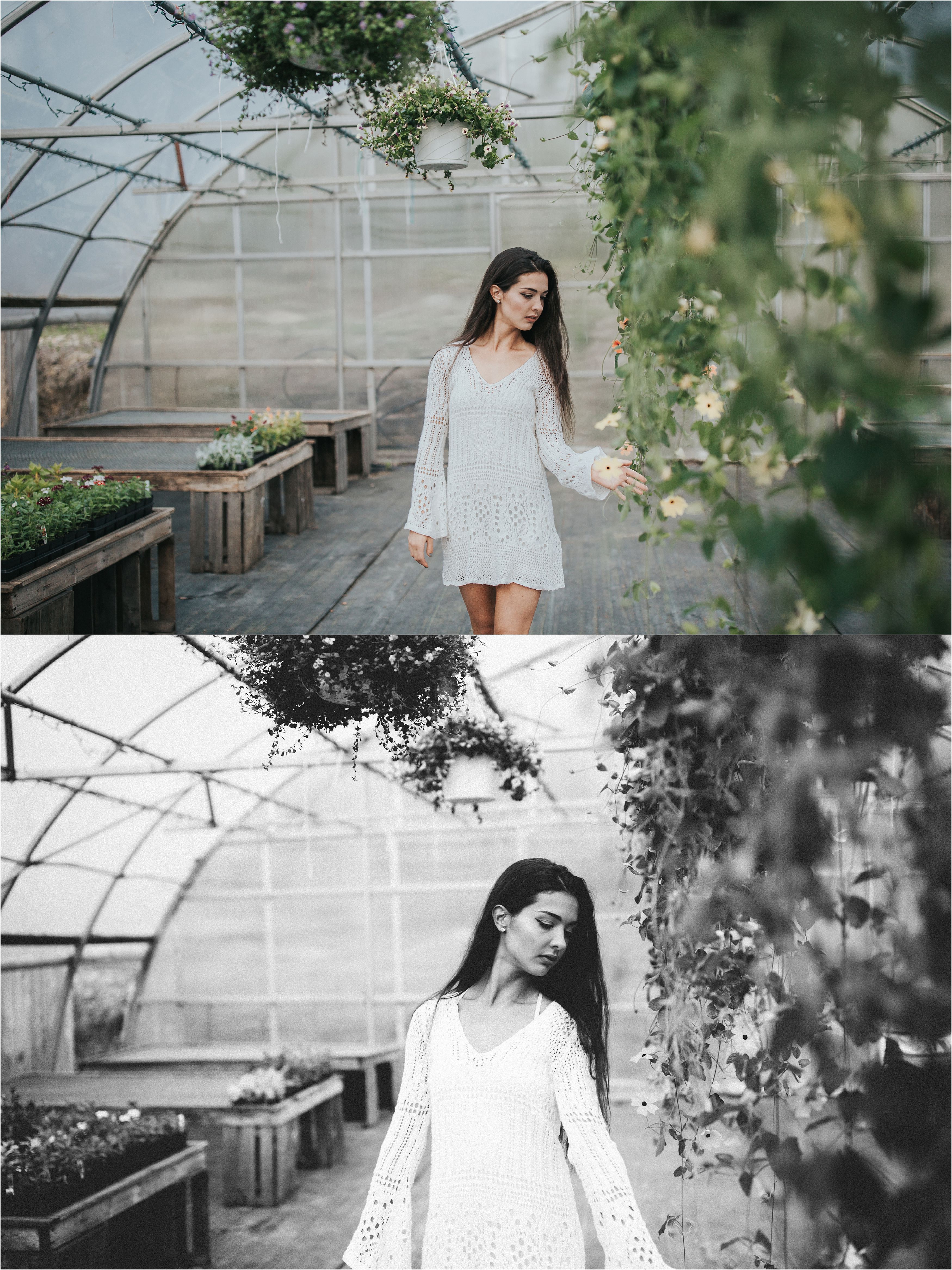 franklin pa senior portrait photos of girl at a greenhouse in the spring time