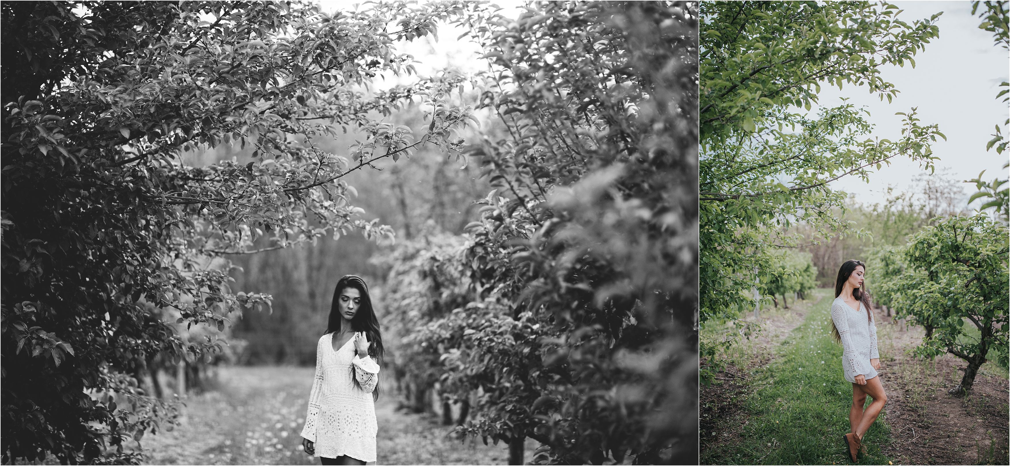 franklin pa senior portrait photos of girl at barber's orchard in the spring time